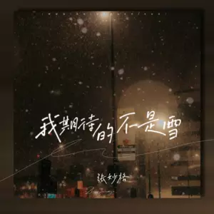 我期待的不是雪(dj阿卓版)