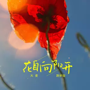 花自向阳开(DJ九零版)