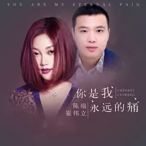 你是我永远的痛(DJ何鹏版)