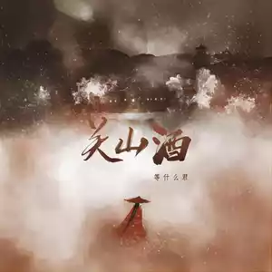 关山酒(DJ名龙版)