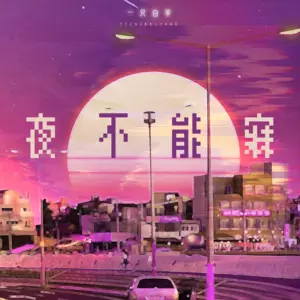 夜不能寐(DJ版)