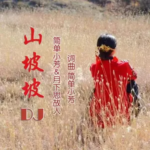 山坡坡（DJ版）