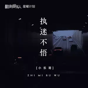 执迷不悟(DJ版)