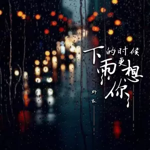 下雨的时候更想你 (DJ德朋版)