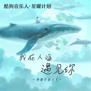 我在人海遇见你(女声版)