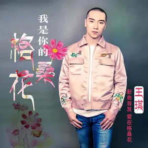 我是你的格桑花