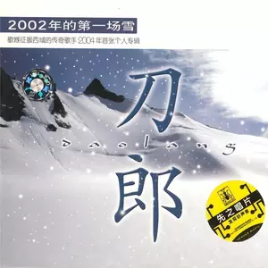 2002年的第一场雪