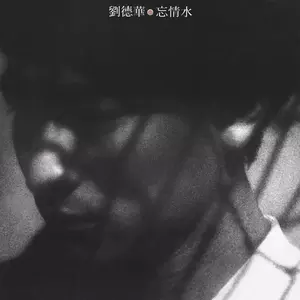 你是我的温柔