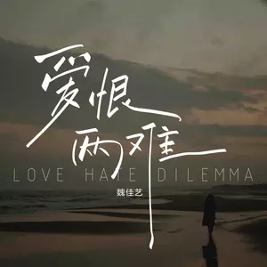 爱恨两难(DJ范小松版)