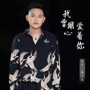 我曾用心爱着你(DJ京仔版)