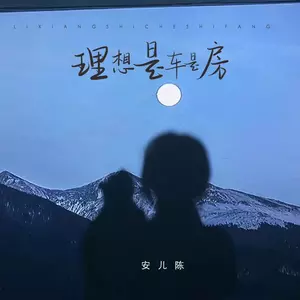 理想是车是房