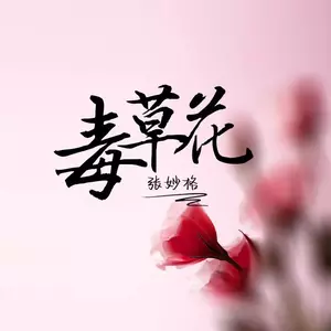 毒草花 DJ版