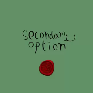 secondary option