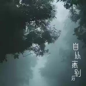 自从离别后(女声版)