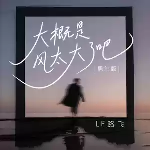 大概是风太大了吧(DJ德朋版)