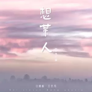 想某人(DJ沈念版)