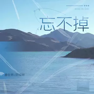 忘不掉（DJ版）