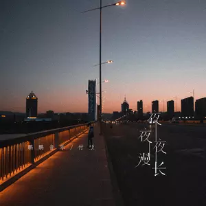 夜夜夜漫长(DJ版)