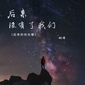 后来没有了我们 (后来的你在哪)