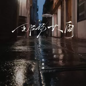 那场大雨（DJAh版）