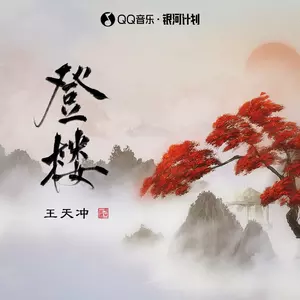 登楼(DJ名龙版)