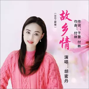 故乡情（DJ何鹏版）