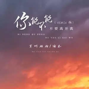 你能不能不要离开我(Remix版)