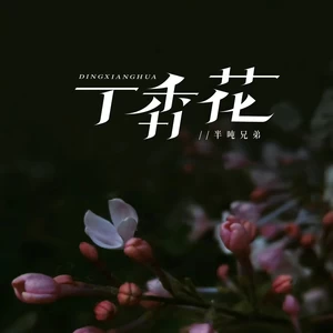 丁香花(烟嗓版)