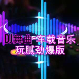 【车载DJ】2023年抖音最火热门劲爆舞曲无损音乐歌曲合集207首