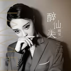 醉仙美 (DJ.Gary龙少版)