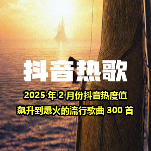 【歌单推荐】盘点2025年2月份抖音热度值飙升到爆火的流行歌曲300首，点燃你的音乐激情[13.3GB]