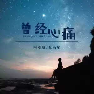 曾经心痛(DJ默涵版)