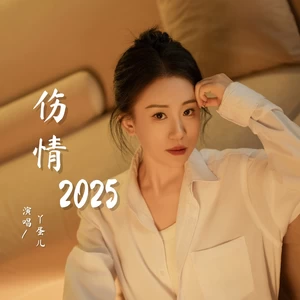 伤情2025