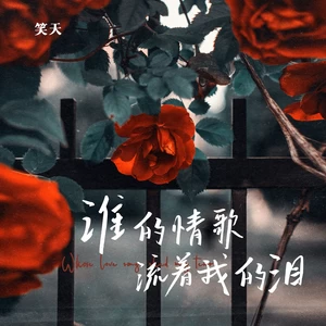 谁的情歌流着我的泪(DJ默涵版)