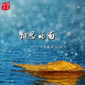 相思的雨(Dj默涵版)