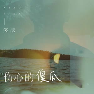 伤心的傻瓜(DJ默涵版)