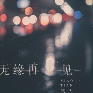 无缘再见(伴奏)