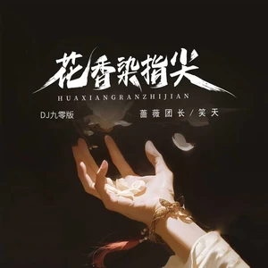 花香染指尖(DJ九零版)