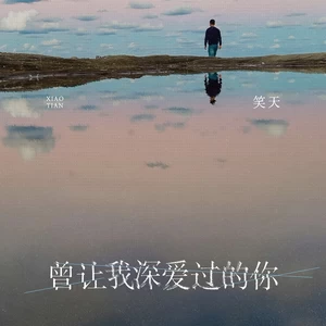 曾让我深爱过的你(DJ沈念版伴奏)