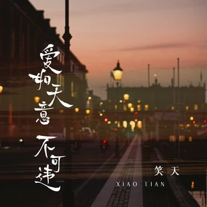 爱如天意不可违(DJ默涵版)