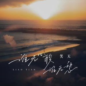 谁无心酸谁无愁(DJ默涵版)