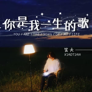 你是我一生的歌(伴奏)
