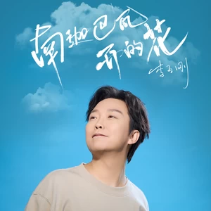 南迦巴瓦开的花(公路版)