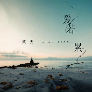 爱若累了(DJ沈念版伴奏)