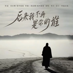 后来我不再是你的谁(男版伴奏)