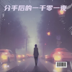 分手后的一千零一夜（DJ名龙版）