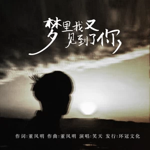 梦里我又见到了你(伴奏)