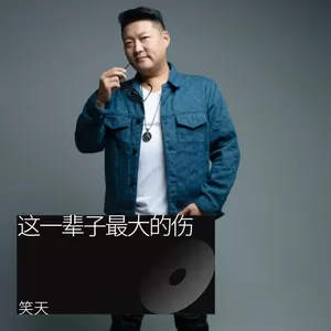 这一辈子最大的伤（DJ沈念）(伴奏)