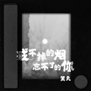戒不掉的烟忘不了的你