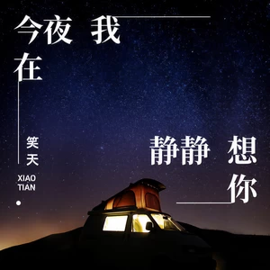 今夜我在静静想你(伴奏)